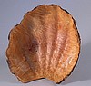 Madrone Sea Shell Inside Vu